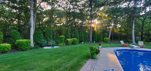 Garden Oasis